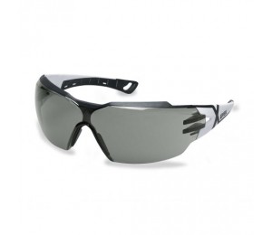 Spectacles grey PHEOS CX2 UVEX 9198237