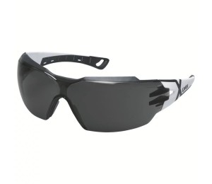 Safety glasses Uvex Pheos cx2, grey