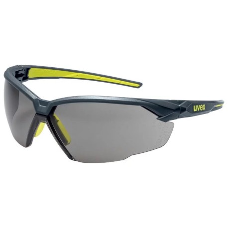Safety goggles Uvex SuXXeed, grey