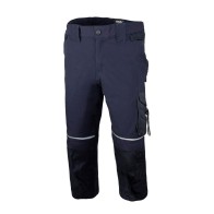 Stretch Rewelly Shorts